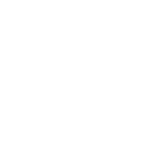 Superliga logo