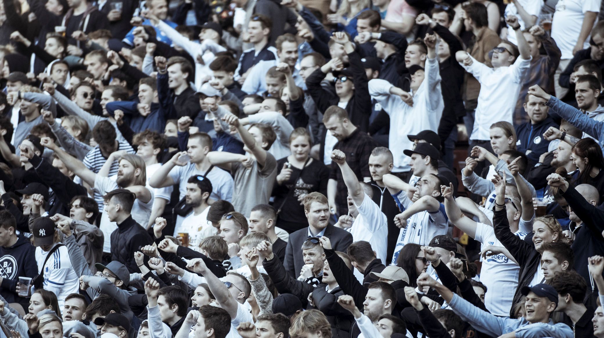 Fans Telia Parken