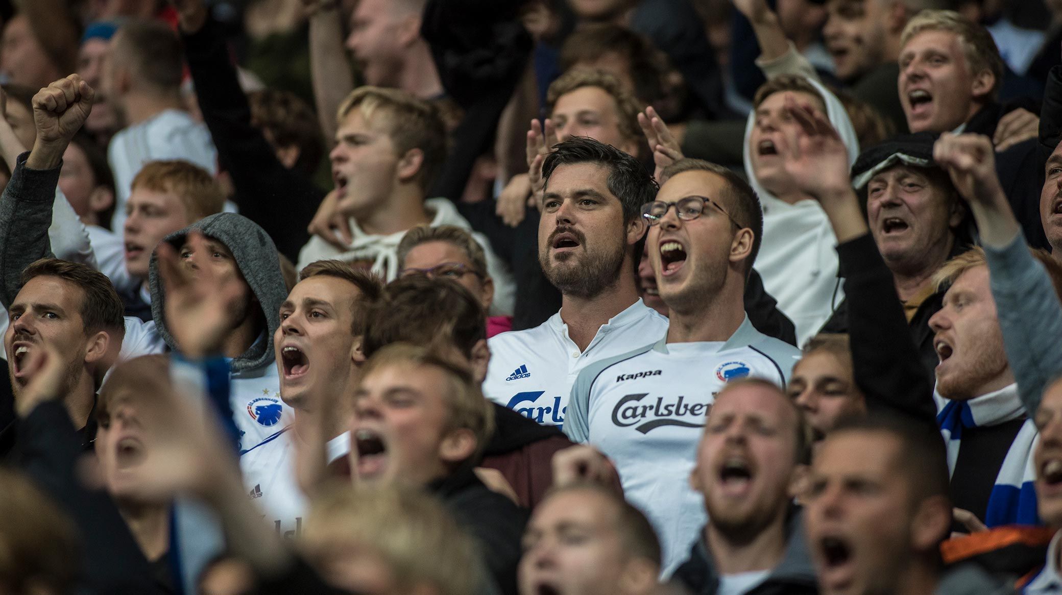 Fans Fans