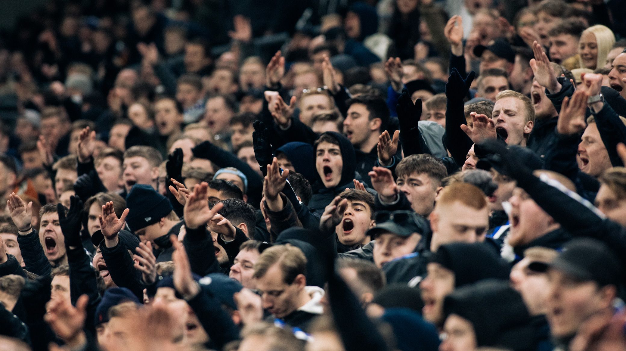 Fans i Parken