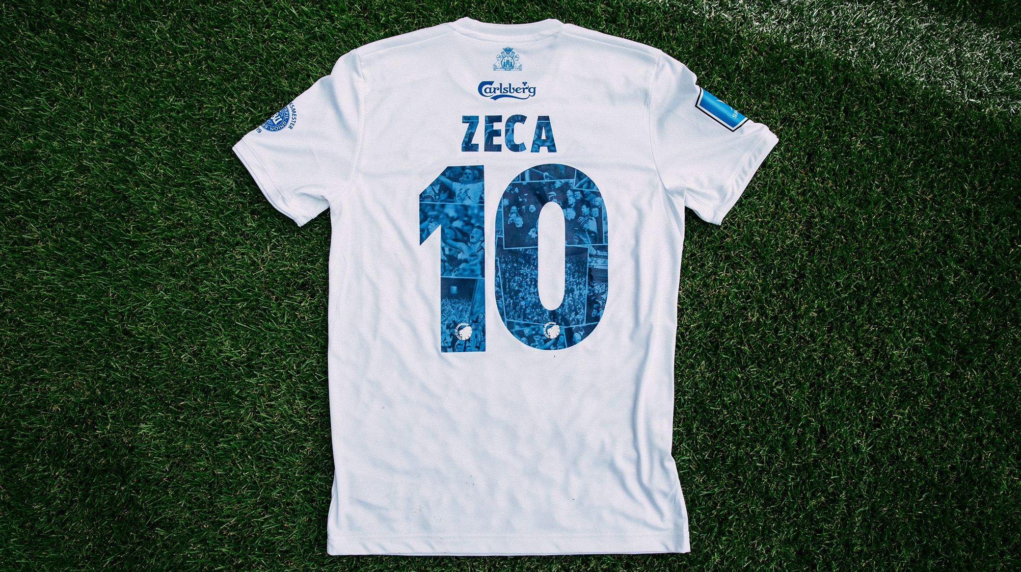 Zeca 10