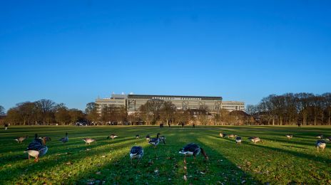 Parken set fra Fælledparken