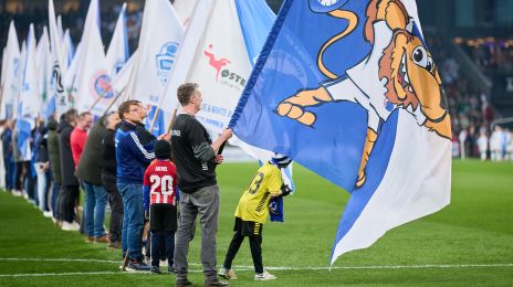 Blue And White Banner Day i Parken