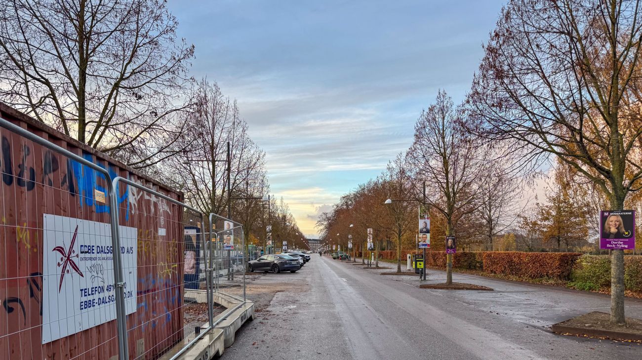 Parkeringspladser langs Øster Alle