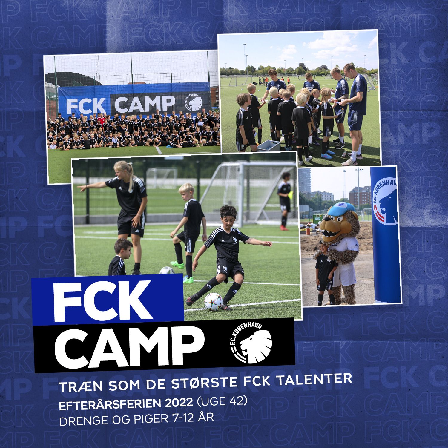 fck camp